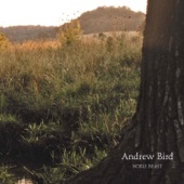 Andrew Bird - On Ho