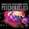Psycrowdelica (Home Edition)