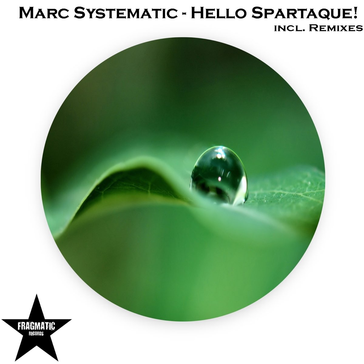 Hello system. Mark System. Hellow System. Fragmatic. Listening marking System.