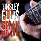 Tinsley Ellis - Sunlight Of Love