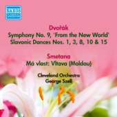 Slavonic Dance No. 10 in E minor, Op. 72 No. 2 artwork