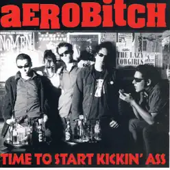 Time To Start Kicking' Ass - Aerobitch
