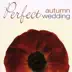 Perfect Autumn Wedding album cover