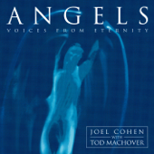 Angels - Voices from Eternity - Joel Cohen & Tod Machover