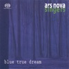 blue True Dream