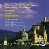 The Salzburg Mozart artwork