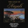 The Gold Of Napoli Vol 2