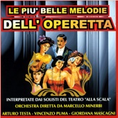 Le più belle melodie dell'operetta artwork