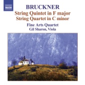 Bruckner: String Quintet In F Major, String Quartet In C Minor, Intermezzo Rondo artwork