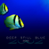 An Ocean Apart - 2002
