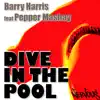Dive In the Pool 2008 (feat. Pepper Mashay) - Single album lyrics, reviews, download