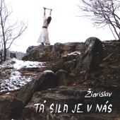 Sila Je V Nas artwork