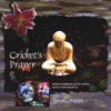 Crickets Prayer