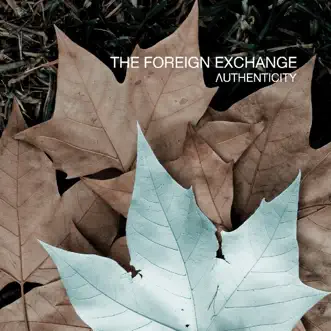 Make Me a Fool (feat. Jesse Boykins III & Median) by The Foreign Exchange song reviws