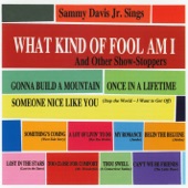 What Kind of Fool Am I & Other Show Stoppers artwork