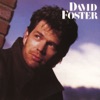 David Foster