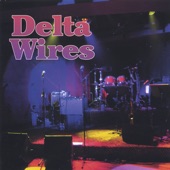 Delta Wires - Down Home Girl