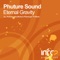 Eternal Gravity (Pulstate Remix) - Phuture Sound lyrics