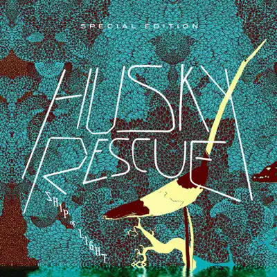 Ship of Light (Special Edition) - Husky Rescue Ship of Light (Special Edition) - Husky Rescue