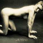 Trailer Park Boneyard