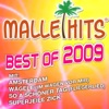 Malle Hits Best of 2009, 2009