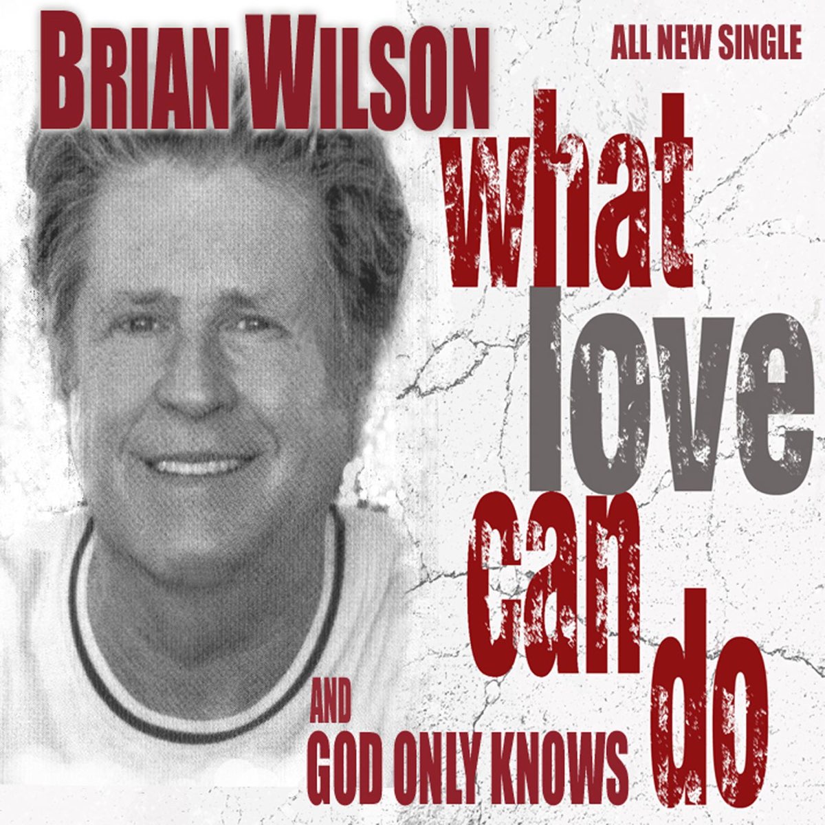 what-love-can-do-god-only-knows-digital-45-by-brian-wilson-on