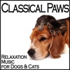 Classical Paws - Relaxation Music for Dogs & Cats