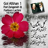 Gol Afshan 1 artwork