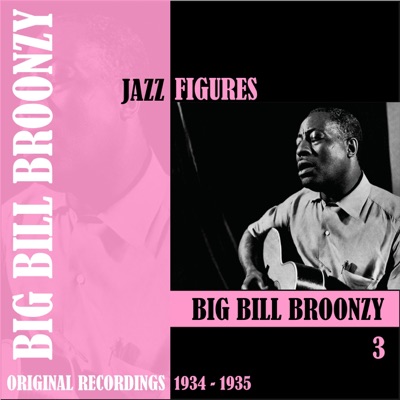 Jazz Figures: Big Bill Broonzy, Vol. 3 (1934-1935) - Big Bill Broonzy