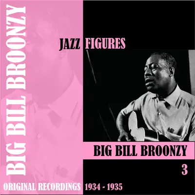 Jazz Figures: Big Bill Broonzy, Vol. 3 (1934-1935) - Big Bill Broonzy