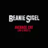 Average Cat (Jay-Z Diss!!) song lyrics