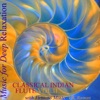 Classical Indian Flute, Vol. 2