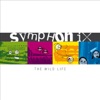 Symphonix - Trip Away