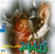 Narges (Arabi) - Iranian Traditional and Folk Dance Music, Vol. 2