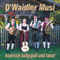 D'Waidler Musi - Rotofen Polka