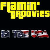 Flamin' Groovies - A Million Miles Away (Live)
