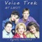 At Last - Voice Trek lyrics