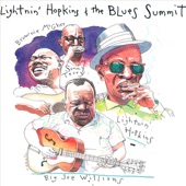 Lightnin' Hopkins & The Blues Summit artwork