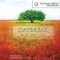 Daily Bread - Tony Miller lyrics