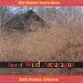 Wild Asparagus - Contney's Yard/ Heave Together/ My Needs
