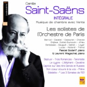 Camille Saint-Saëns : Complete Chamber Music With Winds (Camille Saint-Saëns : Intégrale de la musique de chambre avec vents) artwork