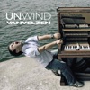 Unwind (Bonus Track Version), 2009