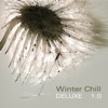 Winter Chill Deluxe 1.0, 2010