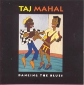 Taj Mahal - Blues Ain't Nothin'