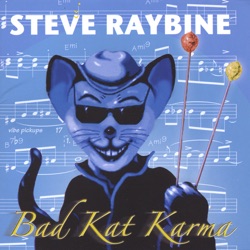 Steve Raybine - Sunny