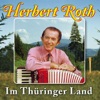 Im Thüringer Land: 25 Heimatmelodien mit Herbert Roth und seinem Ensemble, Vol. 3