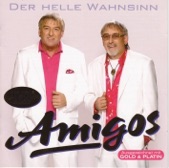 Amigos - Es war der Sommerwind