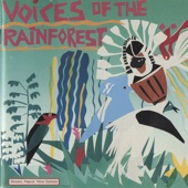 Voices of the Rainforest artwork