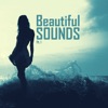 Beautiful Sounds Pt. 1, 2011