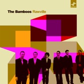 I Don't Wanna Stop by The Bamboos